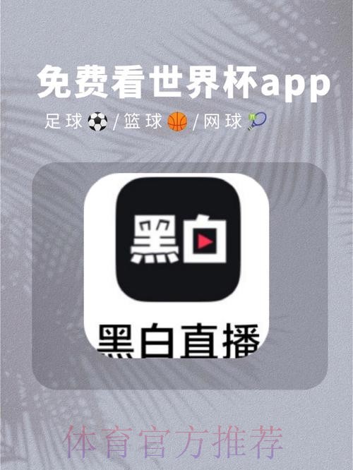 安卓平台免费看世界杯直播的热门应用推荐 安卓平台免费看世界杯直播的热门应用推荐